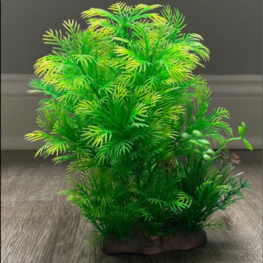 Fish tank decor